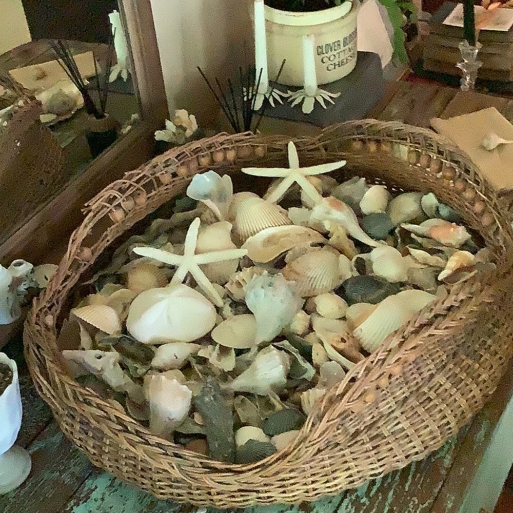 Vintage Antique Printers Tray Filled With Seashells 🐚 Wall Home Decor - Picture 6 of 6